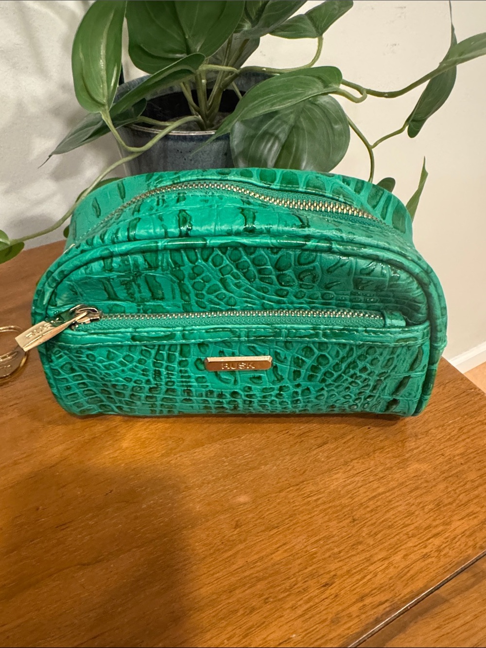 Croc-Embossed Green Cosmetic Case with Front Zip Pocket